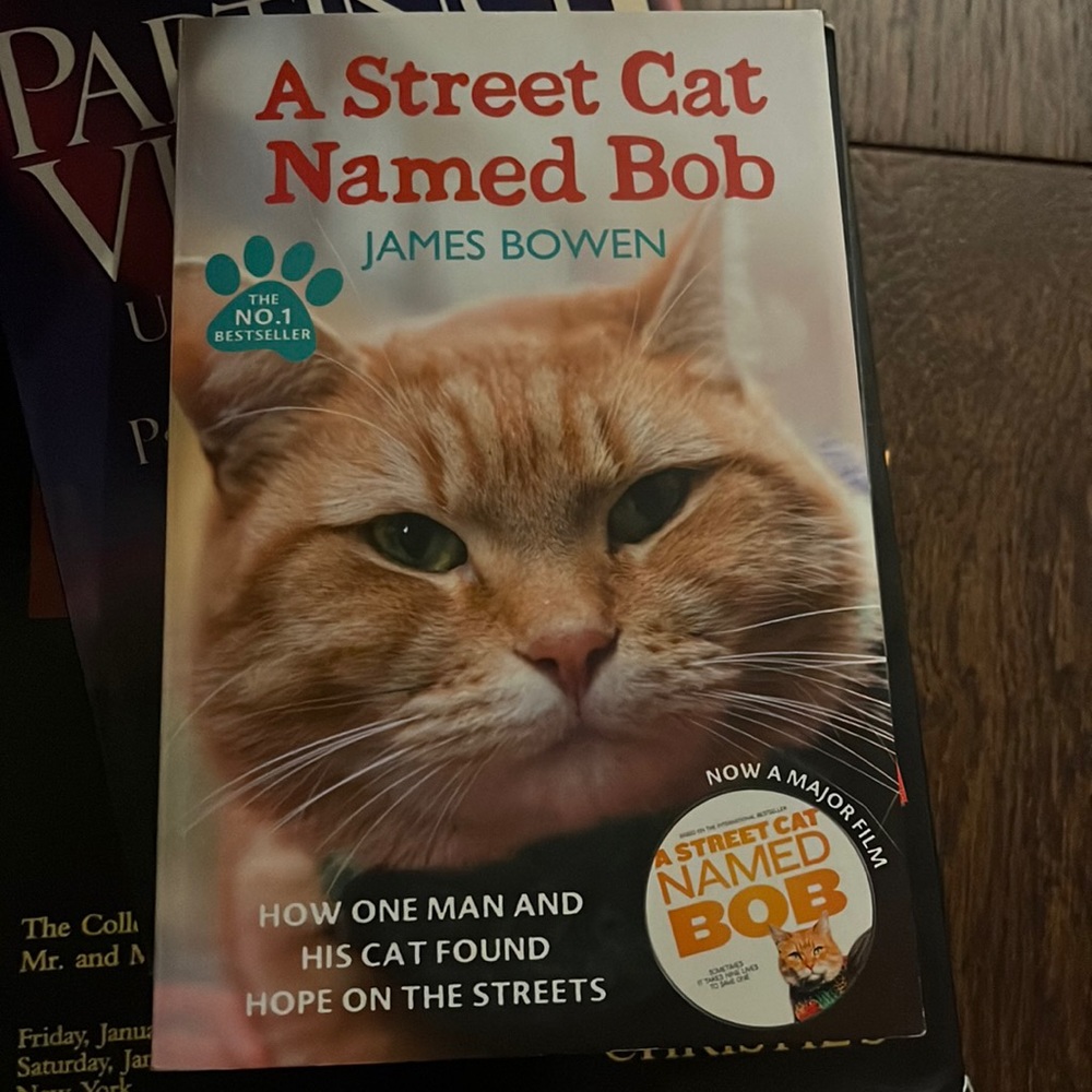 Cat and a street person